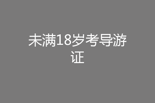 未满18岁考导游证