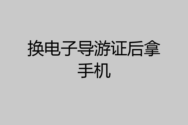 换电子导游证后拿手机
