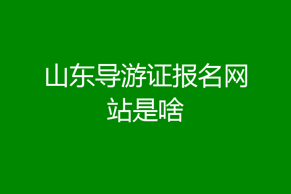 山东导游证报名网站是啥