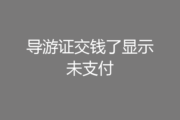 导游证交钱了显示未支付