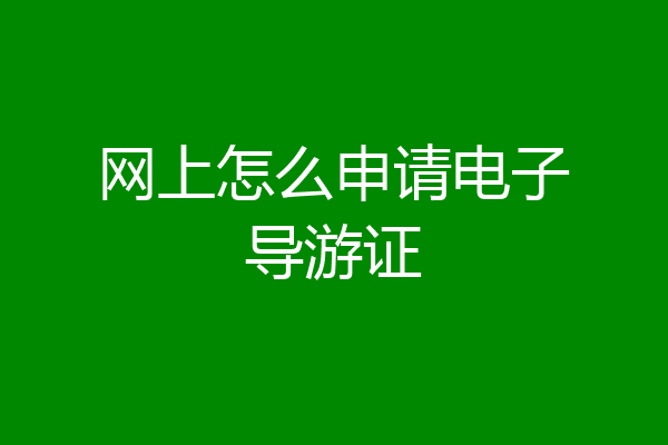 网上怎么申请电子导游证