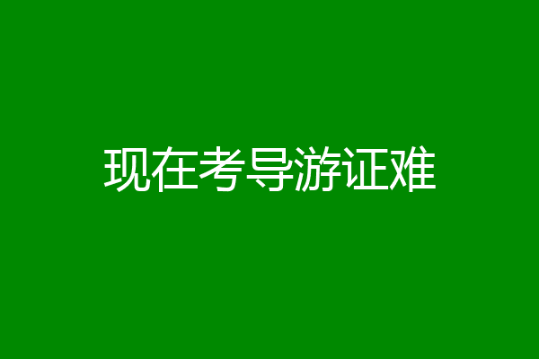 现在考导游证难