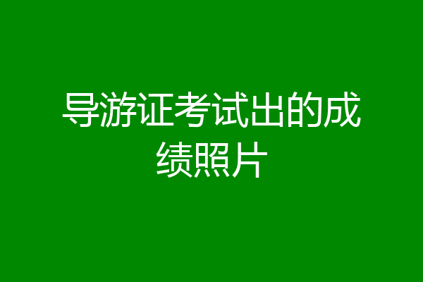 导游证考试出的成绩照片
