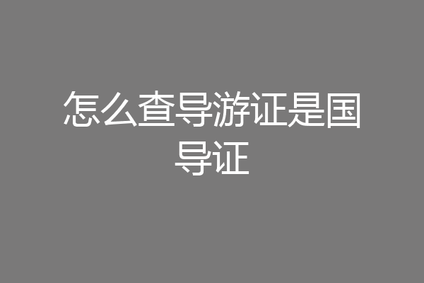 怎么查导游证是国导证