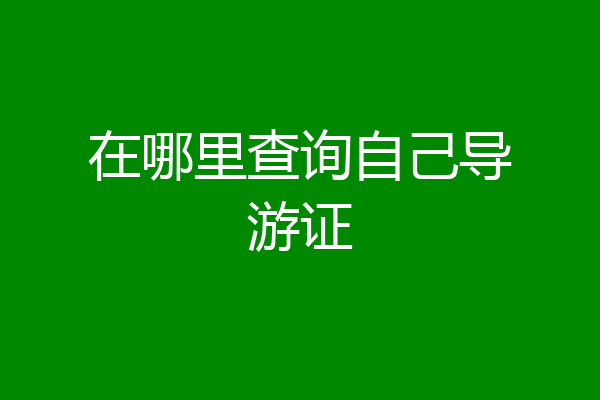 在哪里查询自己导游证