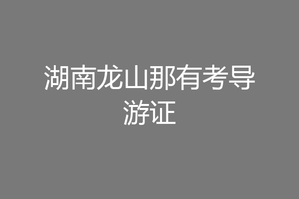 湖南龙山那有考导游证