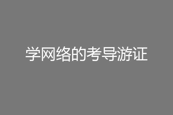 学网络的考导游证