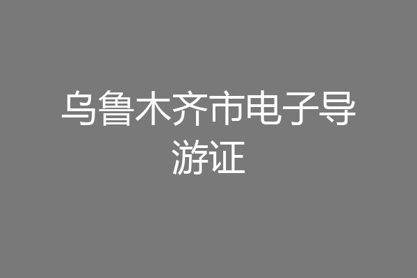 乌鲁木齐市电子导游证