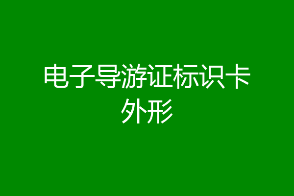 电子导游证标识卡外形