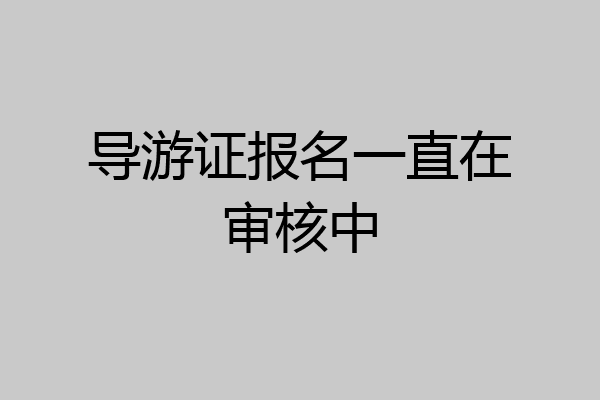 导游证报名一直在审核中