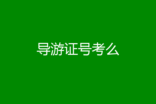 导游证号考么