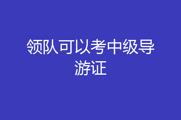 领队可以考中级导游证