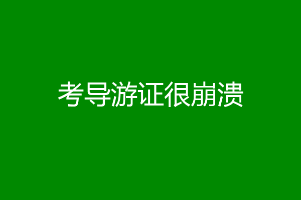 考导游证很崩溃