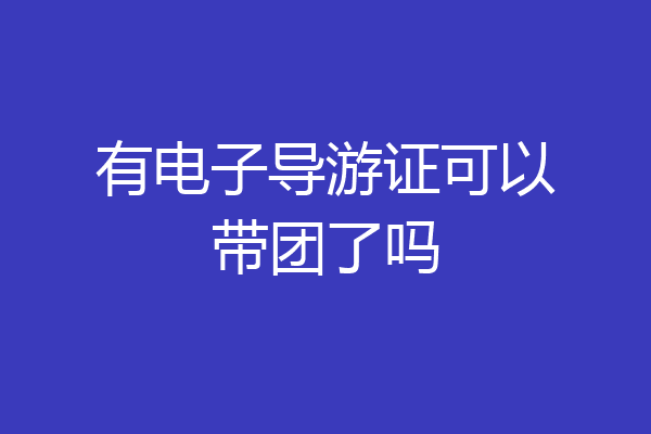 有电子导游证可以带团了吗
