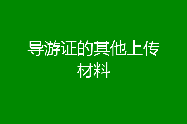 导游证的其他上传材料