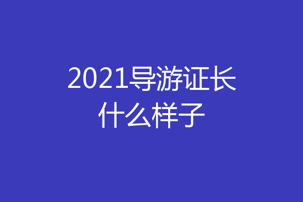 2021导游证长什么样子