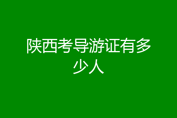 陕西考导游证有多少人