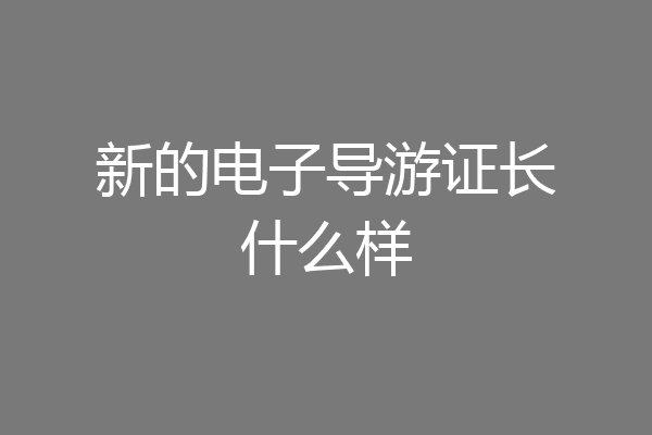 新的电子导游证长什么样