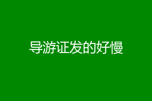 导游证发的好慢