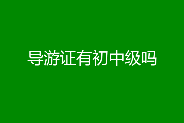 导游证有初中级吗