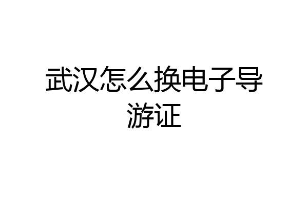 武汉怎么换电子导游证
