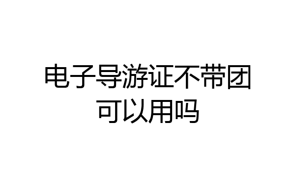 电子导游证不带团可以用吗