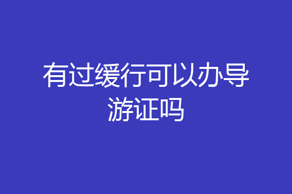 有过缓行可以办导游证吗
