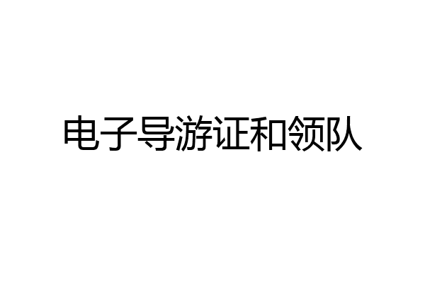 电子导游证和领队