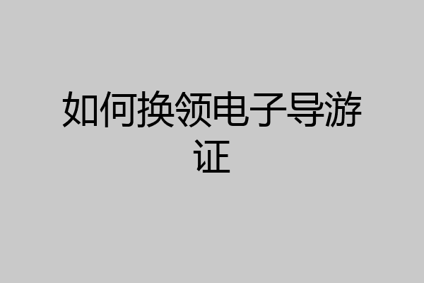 如何换领电子导游证