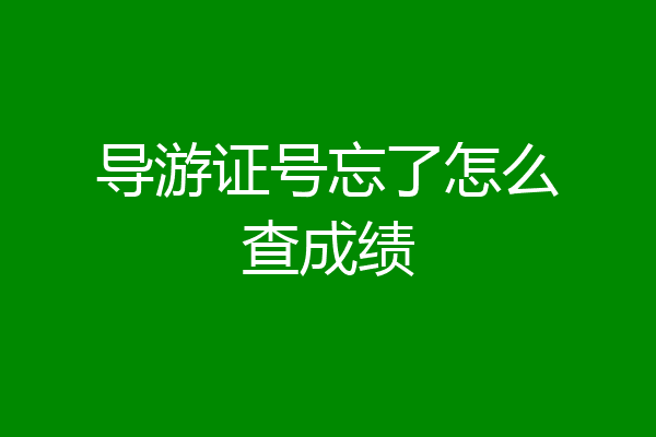 导游证号忘了怎么查成绩
