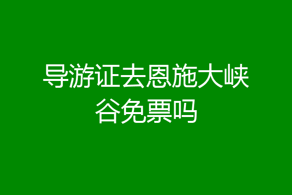 导游证去恩施大峡谷免票吗