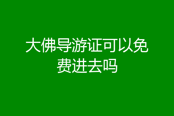 大佛导游证可以免费进去吗