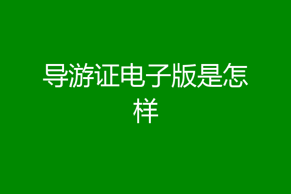 导游证电子版是怎样
