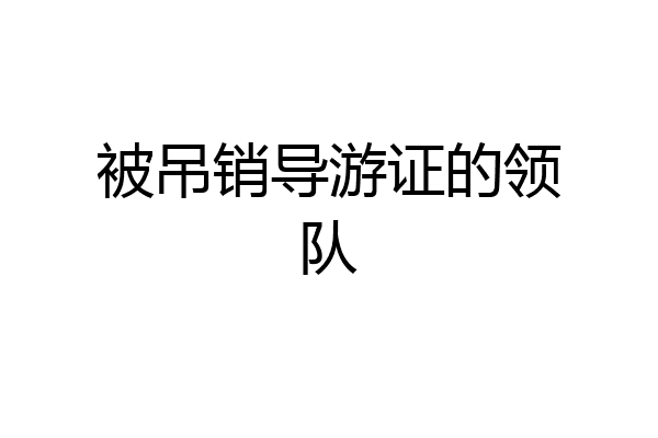 被吊销导游证的领队