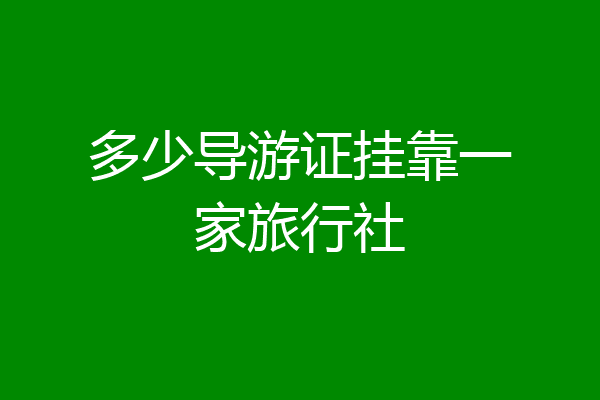 多少导游证挂靠一家旅行社