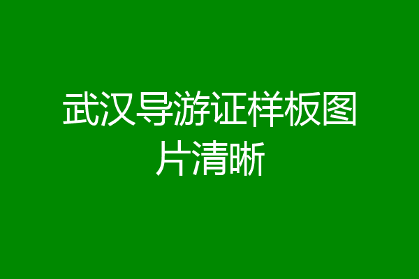 武汉导游证样板图片清晰