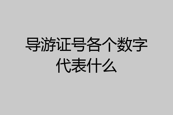 导游证号各个数字代表什么