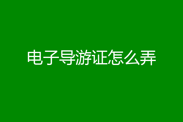 电子导游证怎么弄