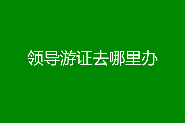 领导游证去哪里办