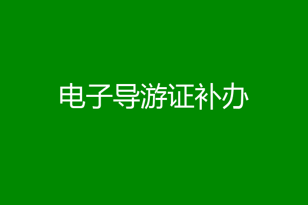 电子导游证补办
