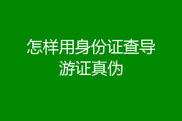 怎样用身份证查导游证真伪