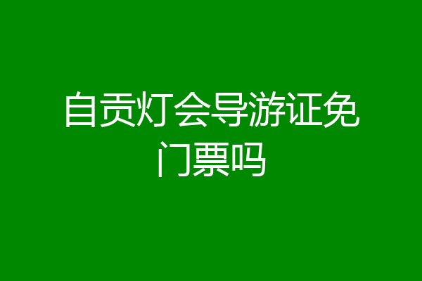 自贡灯会导游证免门票吗
