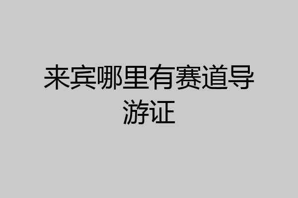 来宾哪里有赛道导游证