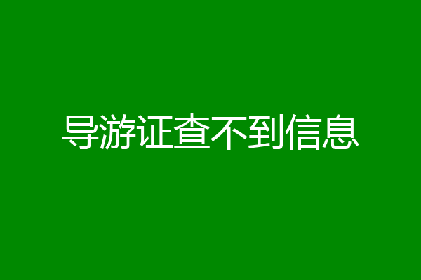 导游证查不到信息