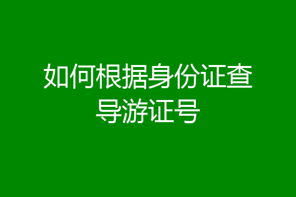 如何根据身份证查导游证号
