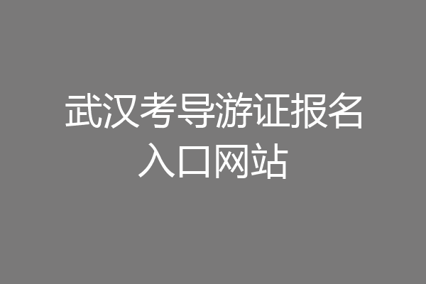武汉考导游证报名入口网站