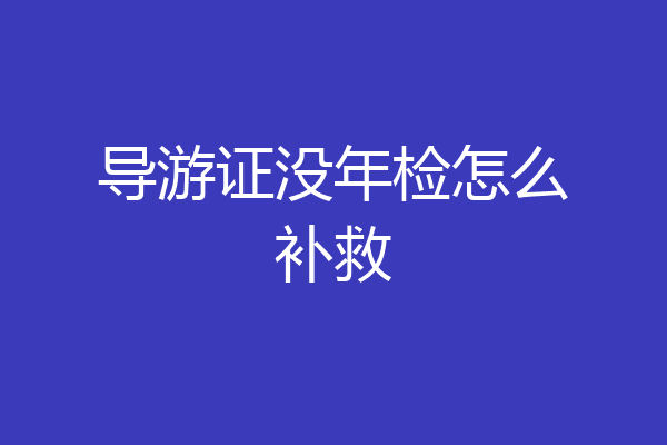 导游证没年检怎么补救