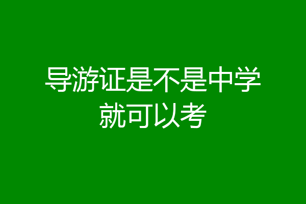 导游证是不是中学就可以考