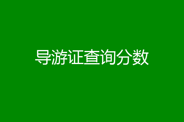 导游证查询分数