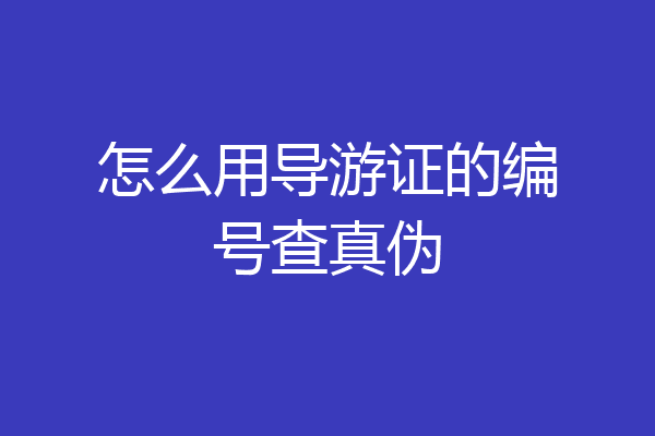 怎么用导游证的编号查真伪